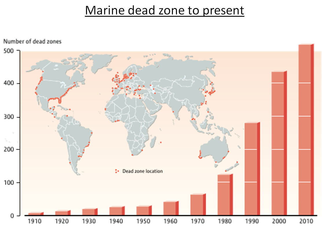Chart from the Secretariat of the Convention on Biological Diversity showing the growth in the number of coastal ocean dead zones since 1960.