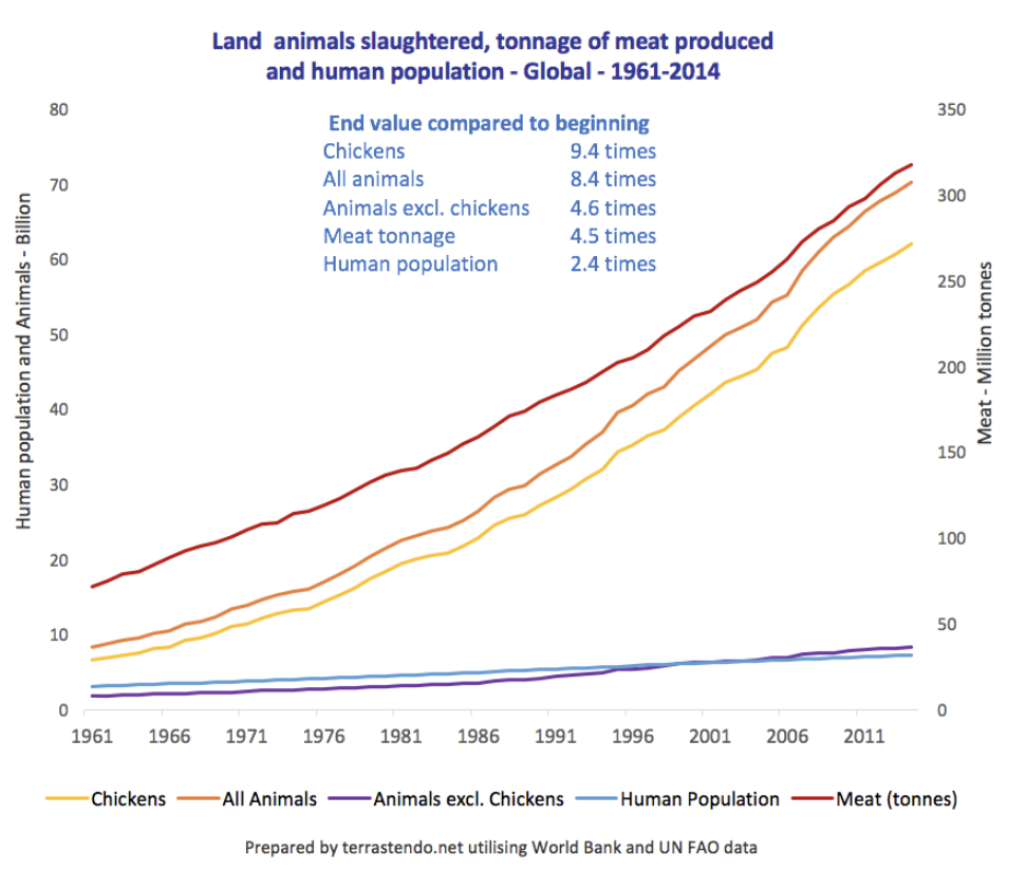Chart by Terrastendo on the scale of chicken farming and slaughter.