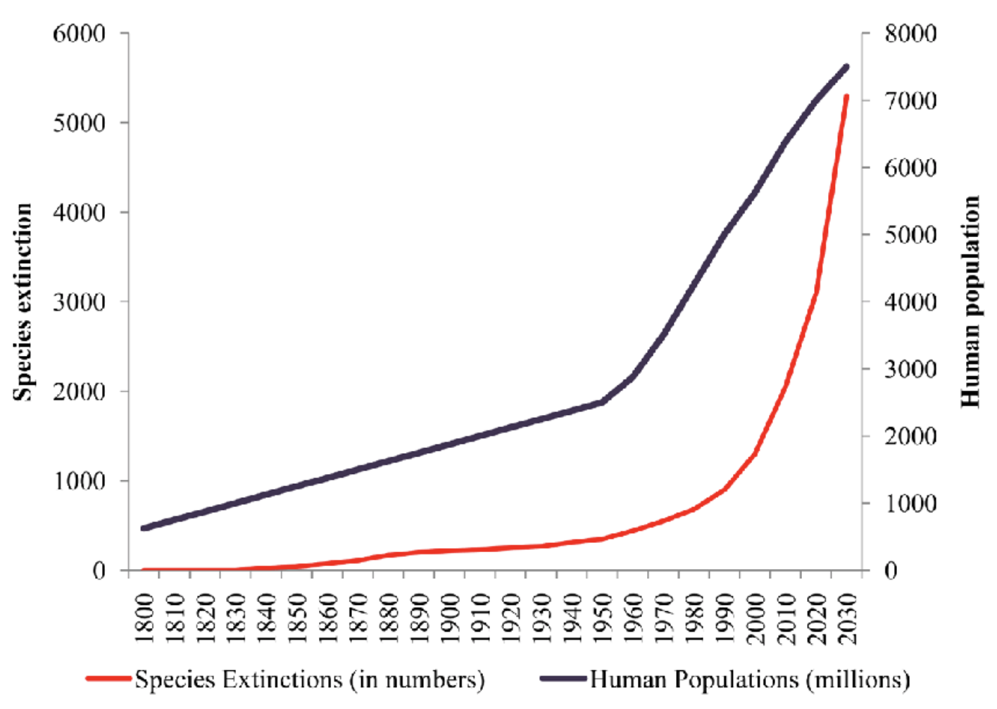 Chart by Umesh Babu M S and Sunil Nautiyal showing the rise in human population alongside the corresponding extinction of other species.